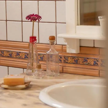 Casa Cocoteros. Un Rincon Unico De Desconexion