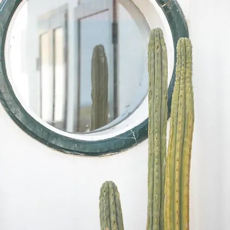 Дом отдыха Casa Cocoteros. Un Rincon Unico De Desconexion *
